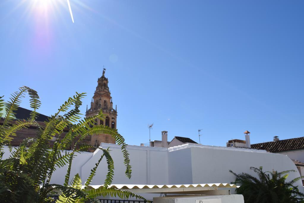 Cespedescinco Cordoba