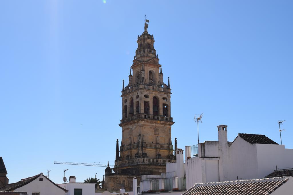 Cespedescinco Cordoba
